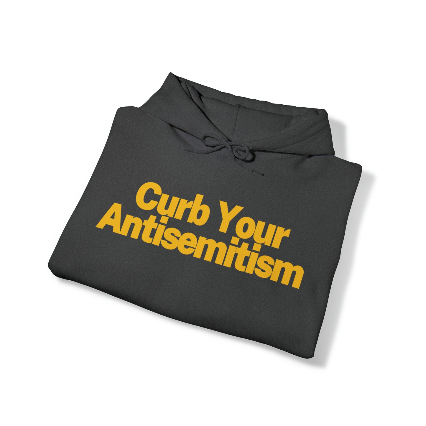 Curb Your AntiSemitism Hoodie